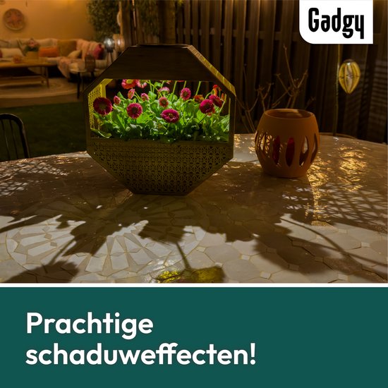 Gadgy Solar - Applique murale Gadgy Solar avec jardinière – Éclairage de jardin à énergie solaire – Lampe d'extérieur à LED – 30 x 30 cm – Jardinière noire