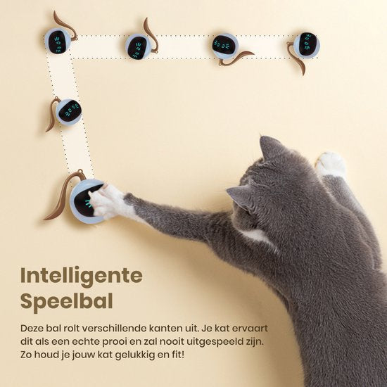 Otiume Balle interactive pour chat - Auto-roulante - Rechargeable par USB - Jouet