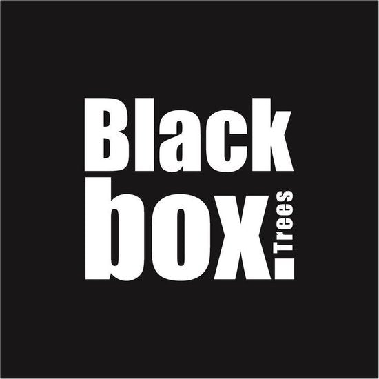 Guirlande Sapin - Black Box - L270 cm - Vert