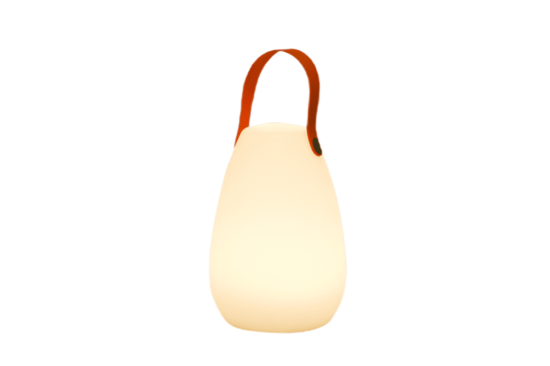 Guirlande lumineuse festive ProGarden 7,5 m, 50 micro-LED, éclairage d'extérieur EDCB60022