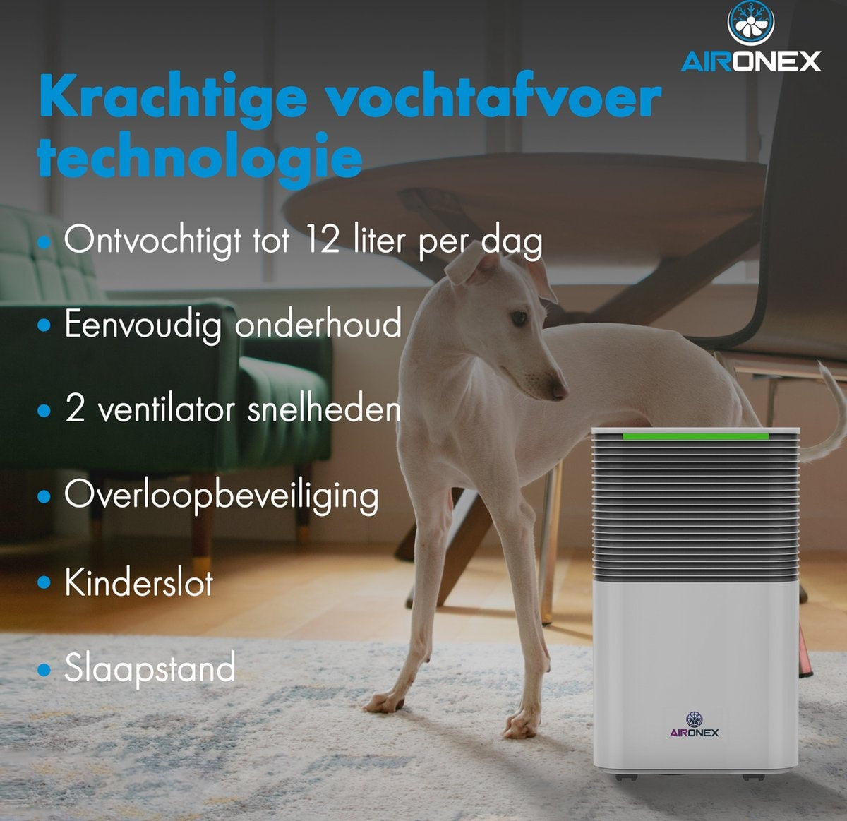 Déshumidificateur - Aironex - Jusqu'à 12 L par jour - Blanc