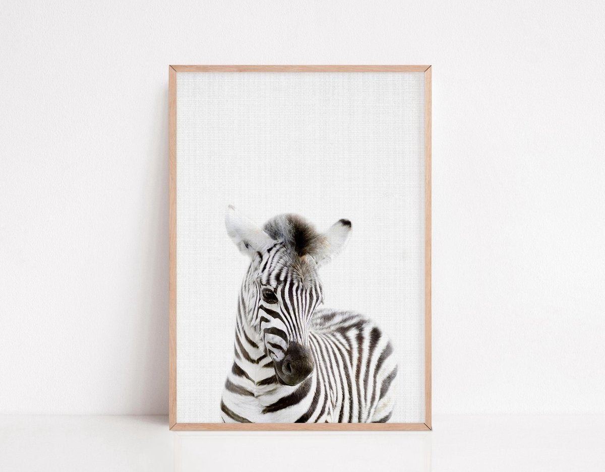 Affiches d'annimaux pour la chambre d'enfant - Generic - 6 Affiches - 21x30 cm - Papier robuste - Safari