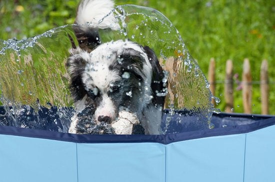 Piscine pour chien - maxxpro - 160 x 30 CM - grandes races de chiens - Baignoire pour chien pliable - fond antidérapant - avec valve de vidange - bleu