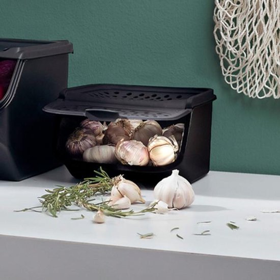 Mediashop 37196 Boîte de rangement Autres Conteneur 2,3 l Noir 1 pièce(s)