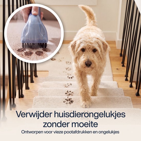 Samako Mini nettoyeur de tapis – Nettoyeur de taches pour canapés et tapis – Nettoyeur de canapés – Nettoyeur de meubles – Nettoyeur de revêtements – Léger