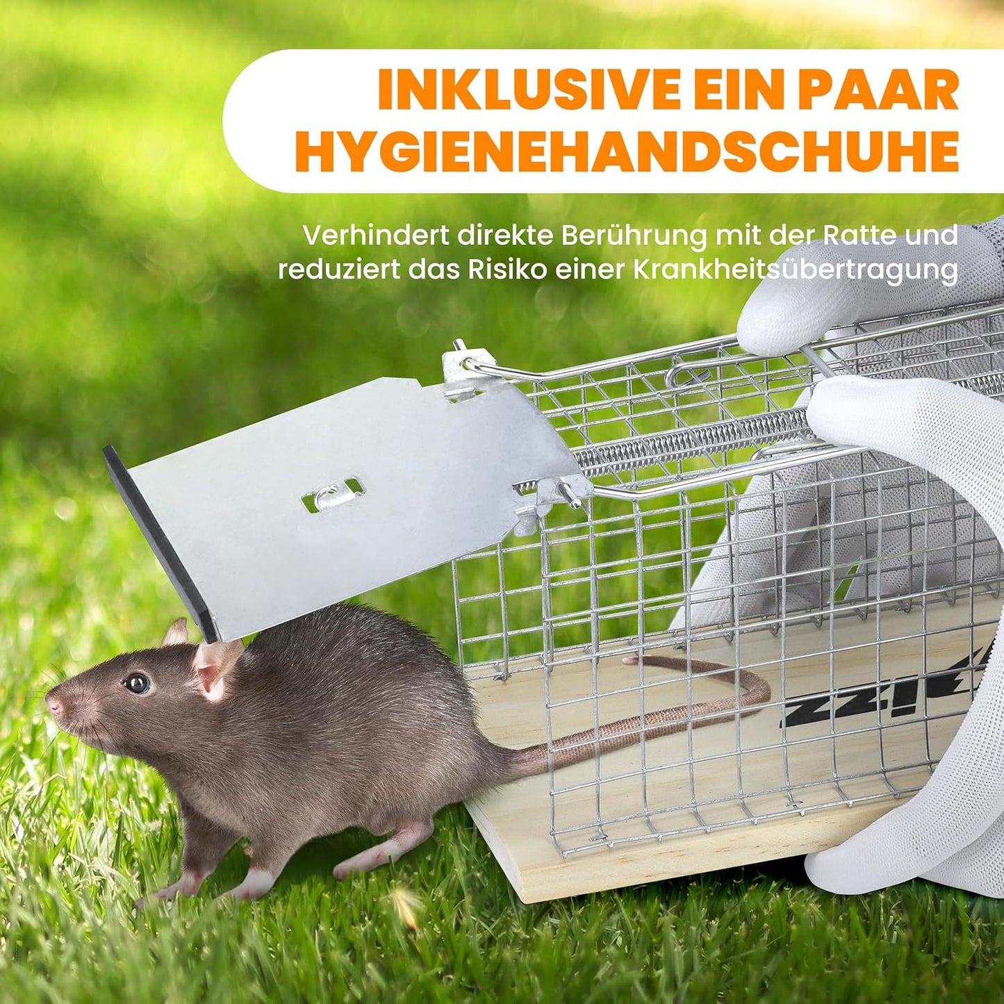 Lebenlang - piège à rats en bois - 29×12×12 cm - set de 2 - piège vivant respectueux des animaux - gants inclus