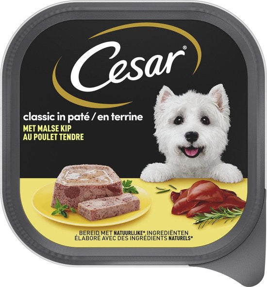Cesar Meal Pouches Multipack Adult In Jelly - Croquettes pour chien - 4 x 12 pièces