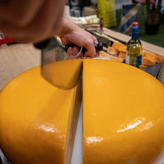 Couteau à fromage Boska Hollands - Professionnel M - 300 mm
