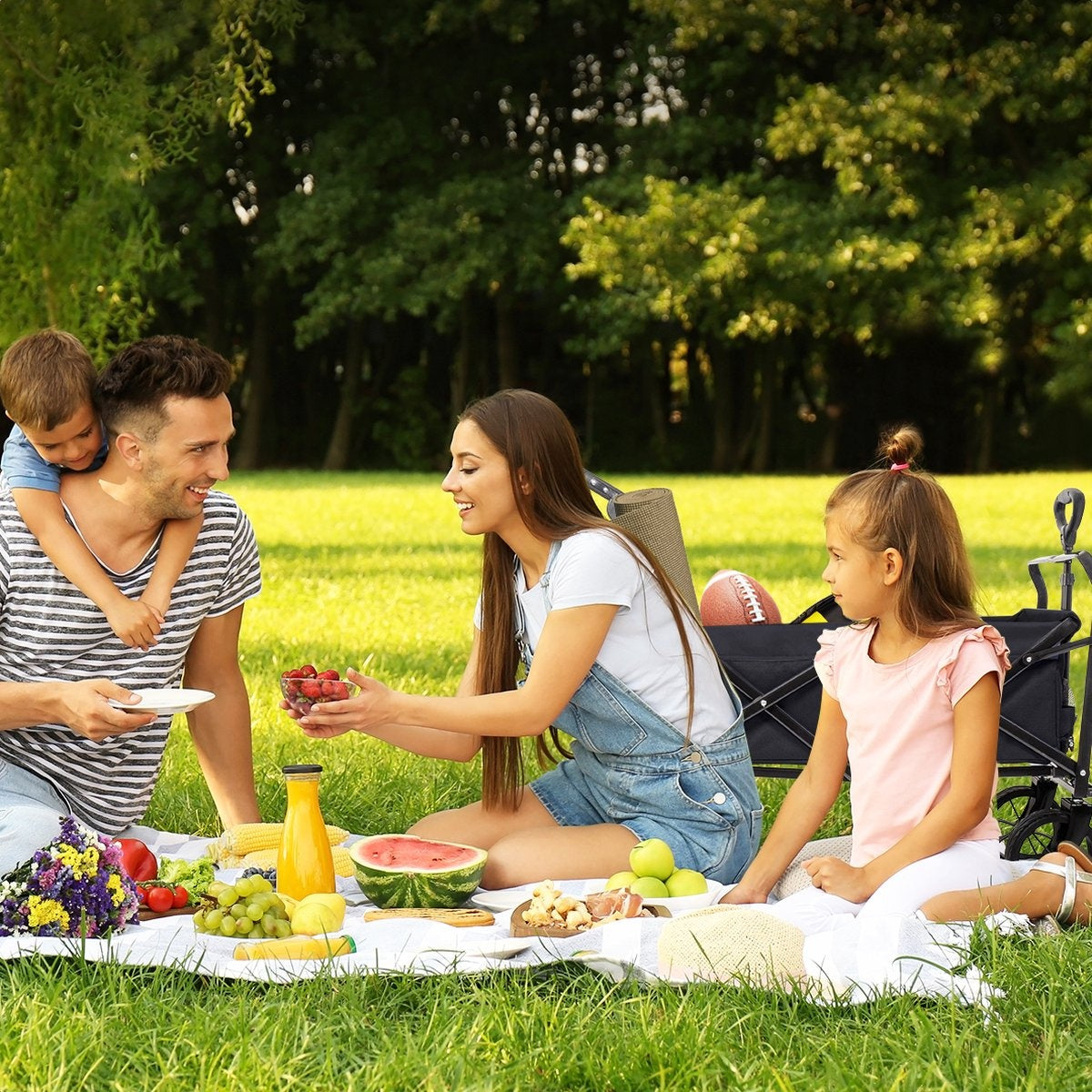 Chariot Pliable LifeGoods, 120x80cm, Noir