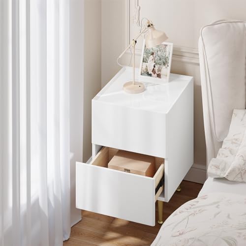 Woltu Table de nuit NTS10ws03 Blanc brillant avec accents dorés - 2 tiroirs - MDF, PVC et métal - 40 x 35 x 51 cm