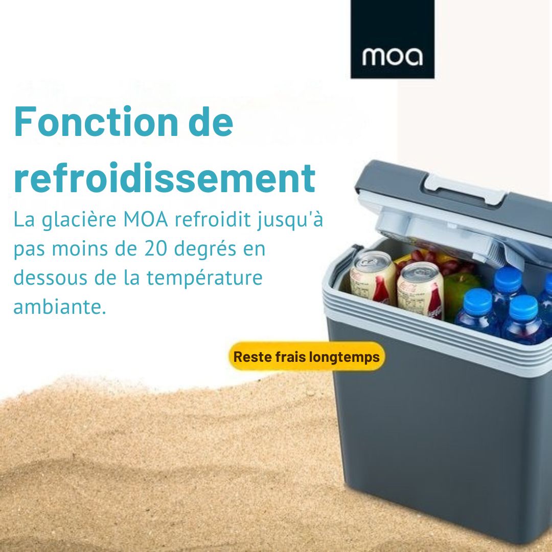 Glacière MOA Electrique, Avec fonction de chauffage, 12V et 230V, 22 litres, Gris