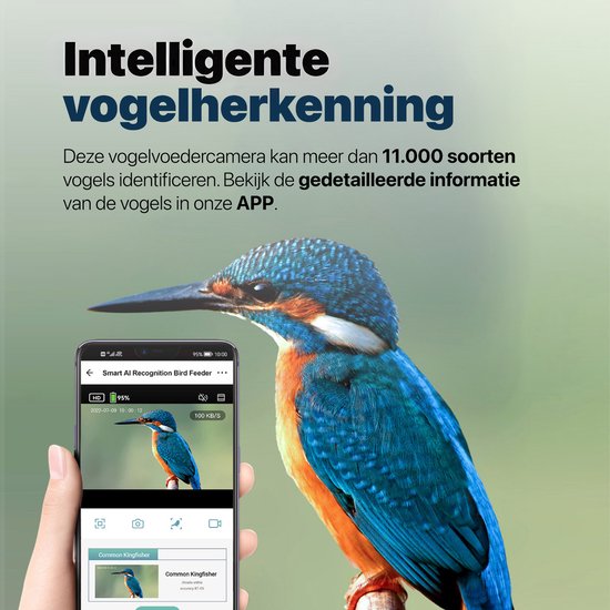Mangeoire à oiseaux BOME - Double caméra 2K HD - Silo à graines - Reconnaissance des oiseaux par IA - Avec panneaux solaires