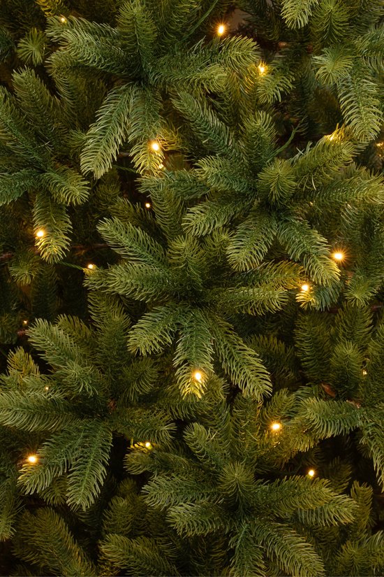 Black Box Trees Nagoya Sapin de Noël - Sapin artificiel avec éclairage LED et structure articulée - Décoration de Noël d'intérieur au look naturel - Rond - H 210 x Ø 115 cm - Vert