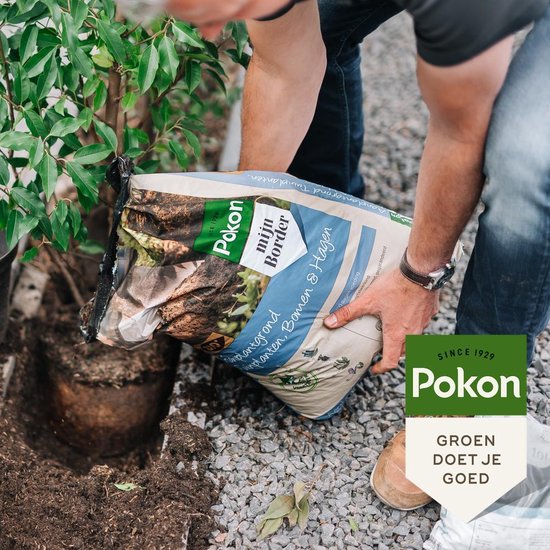 Pokon Bio : terreau de plantation pour plantes de jardin, arbres et haies - 30 l - 100 jours de nutriments - sans tourbe