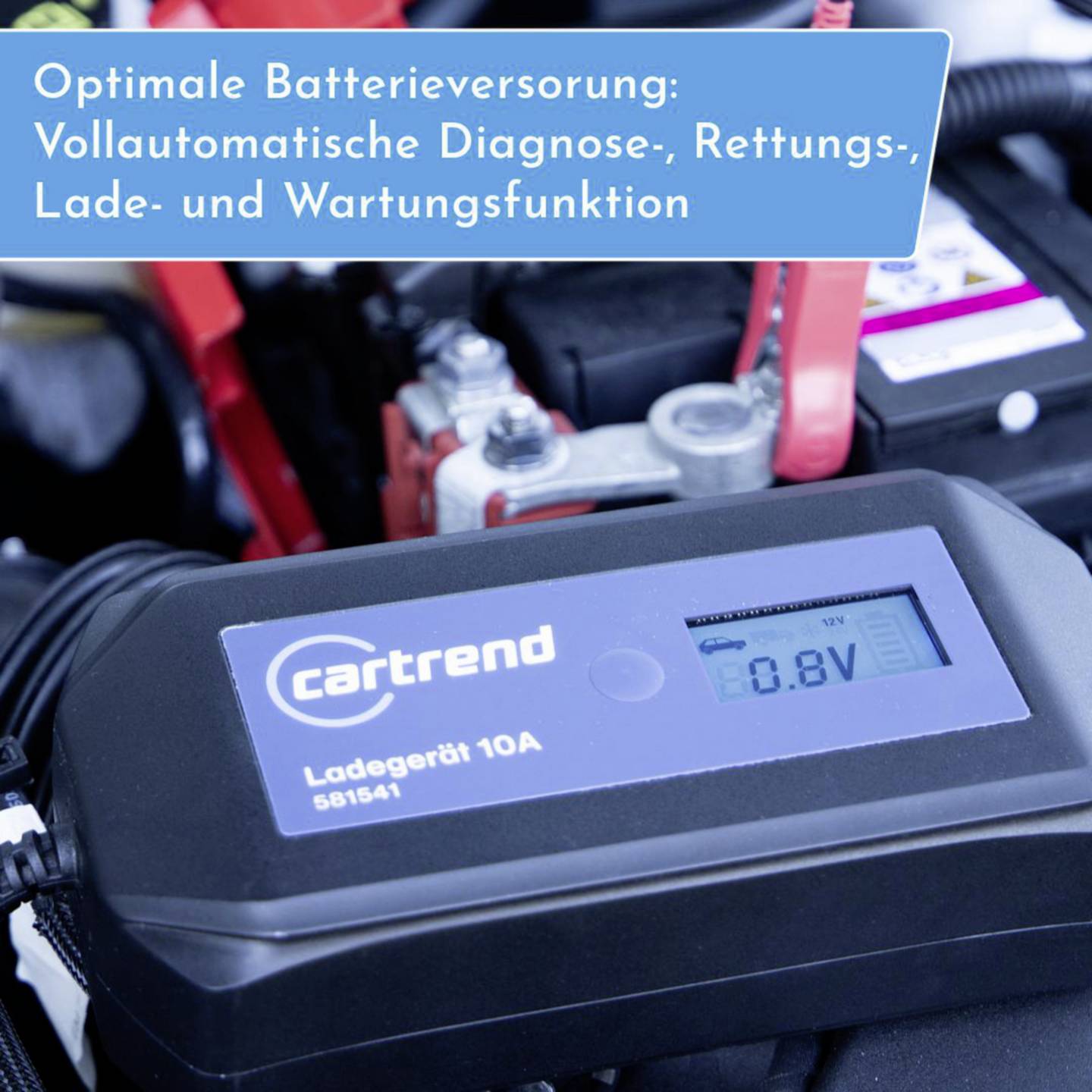 Chargeur de batterie entièrement automatique Cartrend avec microprocesseur - Convient aux batteries AGM, gel, plomb-acide et sans entretien