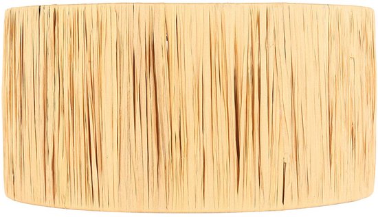 Abat-jour K1068CS de Steinhauer - Jonc de mer naturel, ⌀40 cm, design tendance pour l'intérieur, culot E27, idéal pour toutes les lampes et tous les intérieurs.