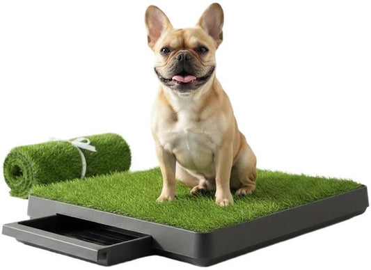 Pawesome - Toilettes pour chiens en gazon synthétique - Toilettes pour chiens avec tapis en gazon synthétique - Tapis pour chiots - Tapis d'apprentissage de la propreté - Toilettes d'extérieur - Apprentissage de la propreté - 2 tapis en gazon synthétique