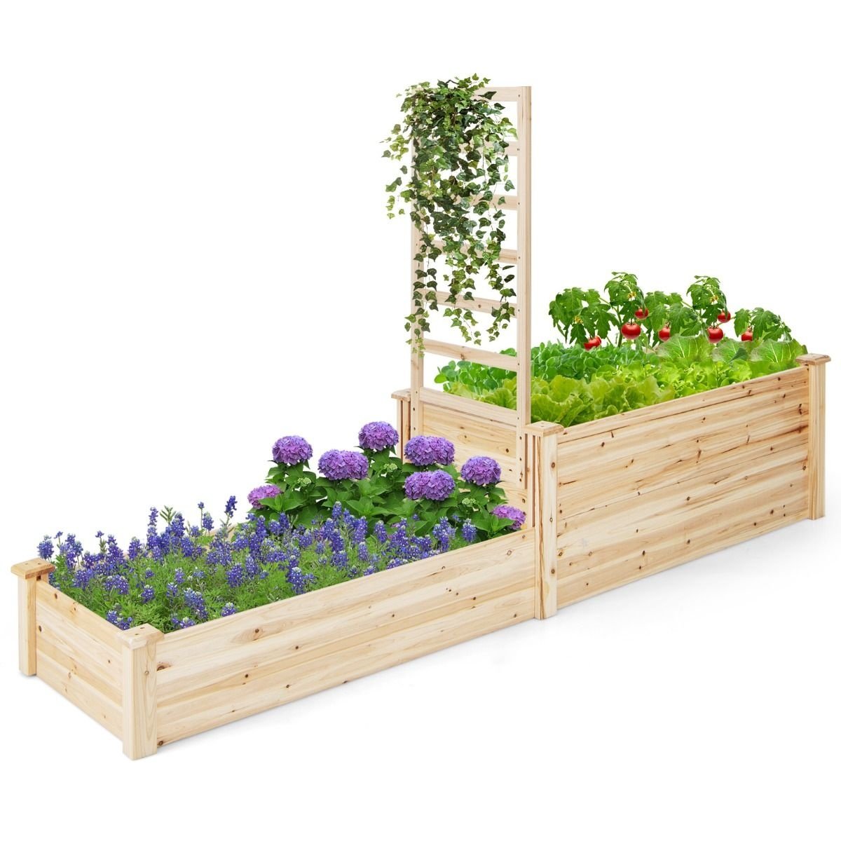 Jardinière Coast - 2 bacs et 1 support pour plantes grimpantes - Fond ouvert - 223 x 64 x 134 cm - Bois de pin