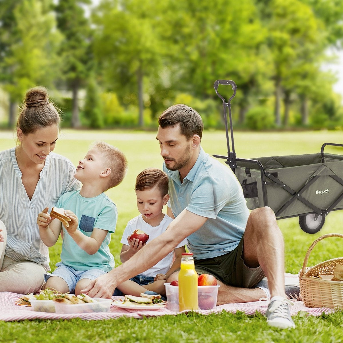 Chariot pliable - LifeGoods - Charge max 70 kg - 59cm x 98cm - vert