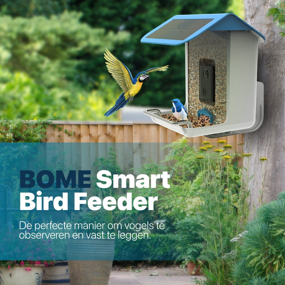 BOME - Mangeoire à oiseaux - Caméra et audio - Reconnaissance des oiseaux - Suspension de la mangeoire - Nourriture pour oiseaux
