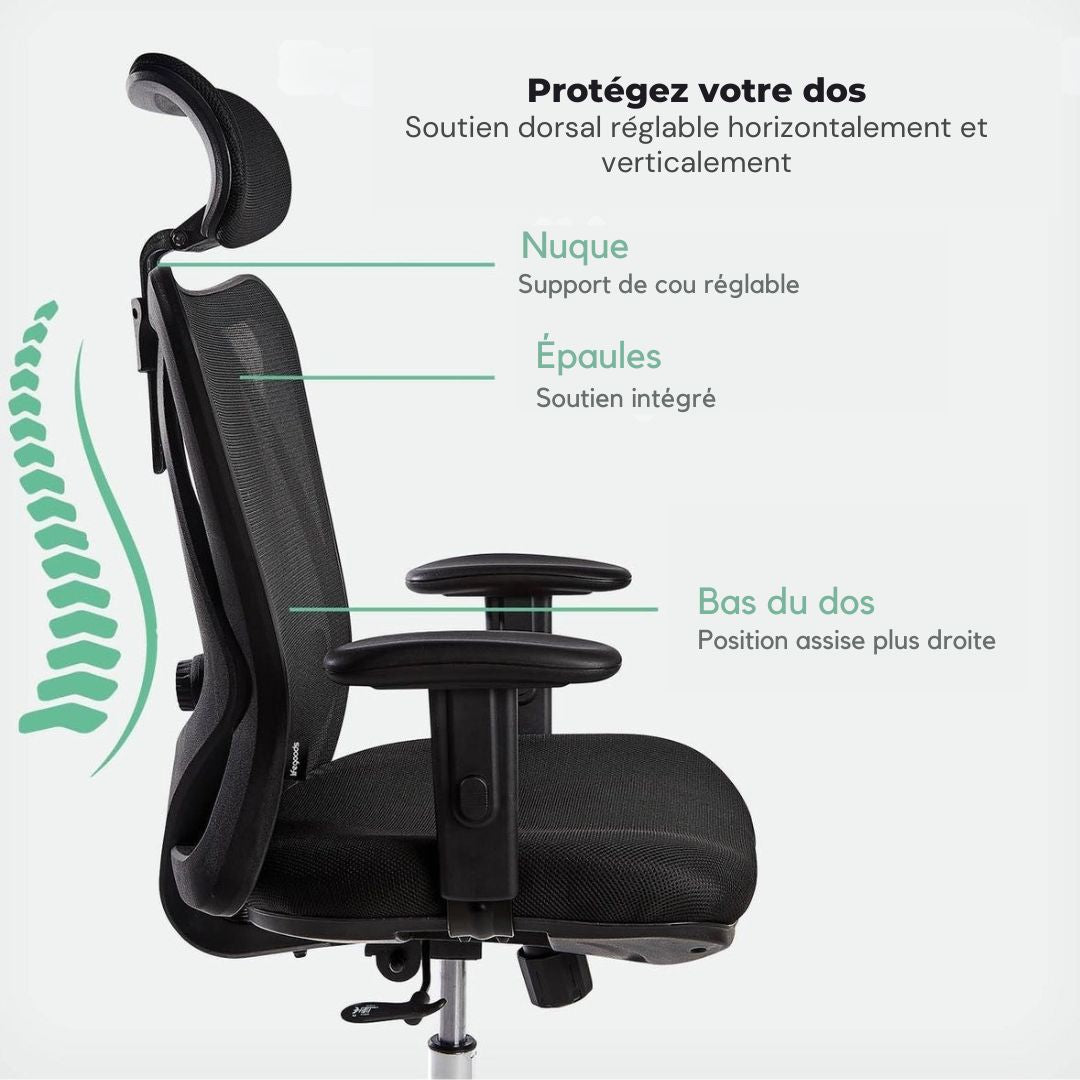 Chaise de bureau ergonomique - LifeGoods - Réglable - Jusqu'à 136 kg - Noir