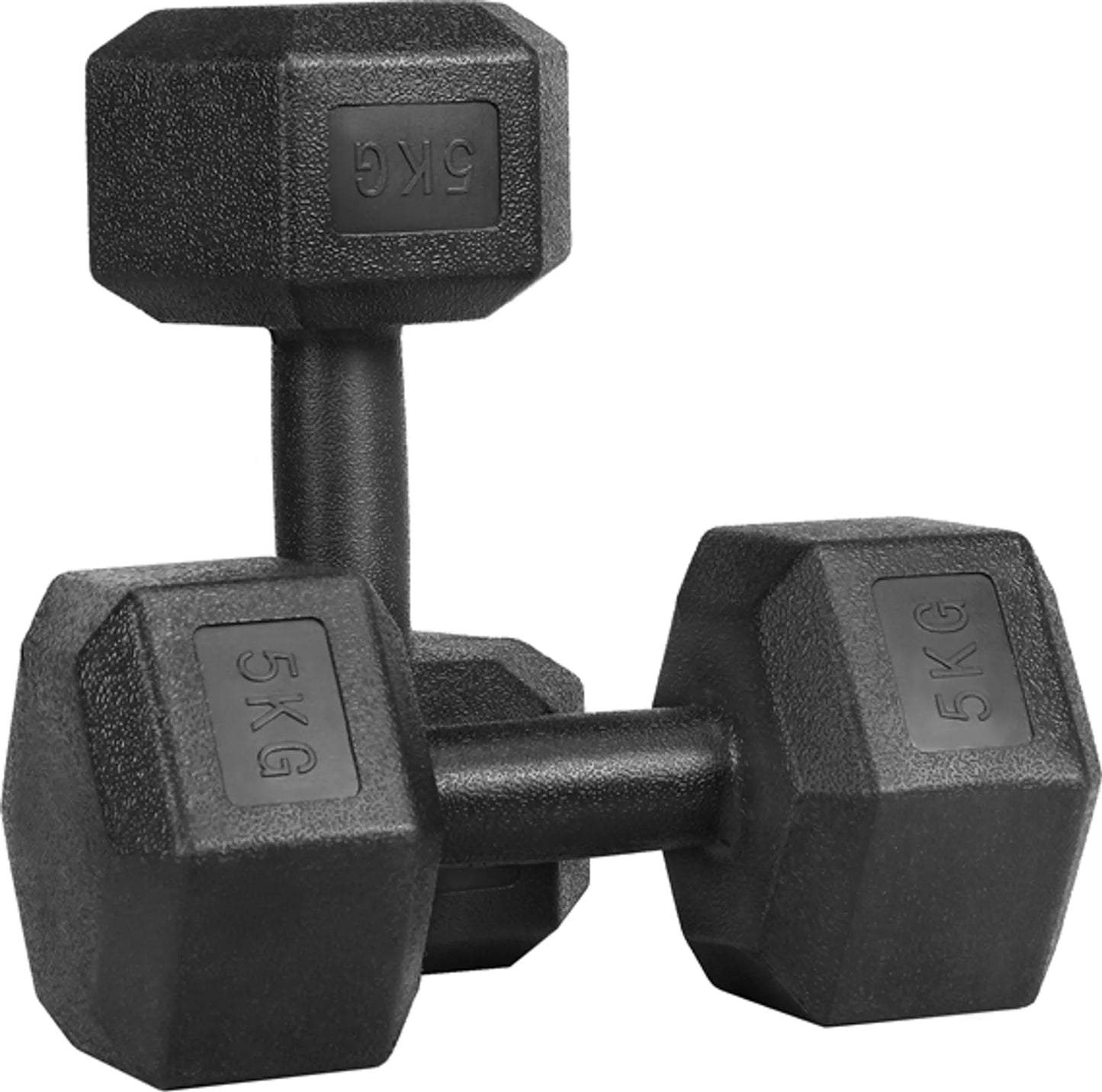 Yaheetech Jeu d'haltères de 2 x 5 kg - Tête hexagonale, conception antiroulis et revêtement en plastique - Pour la musculation et la gym à domicile - Plastique noir et béton - 28.5 x 15 x 13 cm