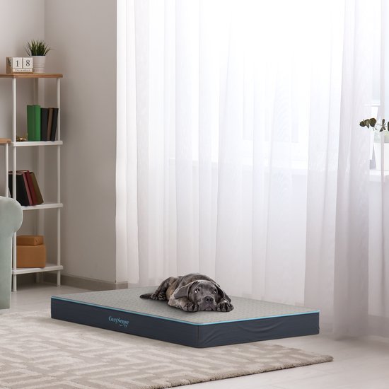CozySense® - Coussin orthopédique pour chien 60 X 40 cm - Taille S - Imperméable - Convient comme coussin de banc et lit pour chien