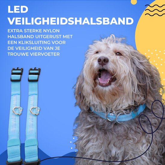 Collier lumineux pour chien - Extra fort - XS 28 cm à 38 cm - Collier pour chien - Collier à mousqueton - Ajustable - Réfléchissant