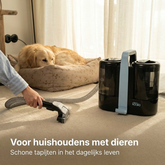 Nettoyeur de tapis CleanKoala – Pour plus de 100 types de tissus différents - Détachant – Tapis, matelas, meubles et plus encore