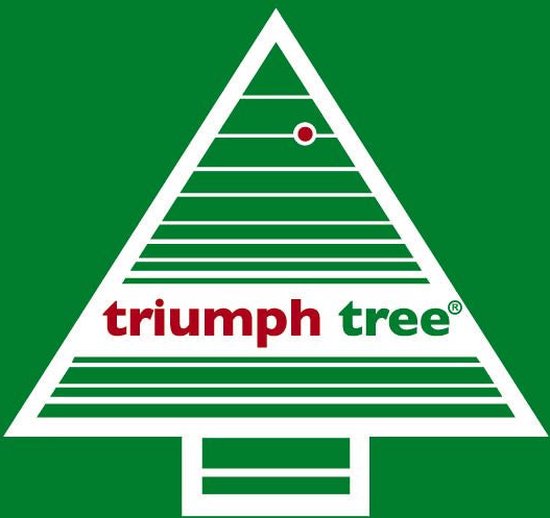 Triumph Tree Forest Guirlande givrée avec éclairage LED - L270 cm - Vert