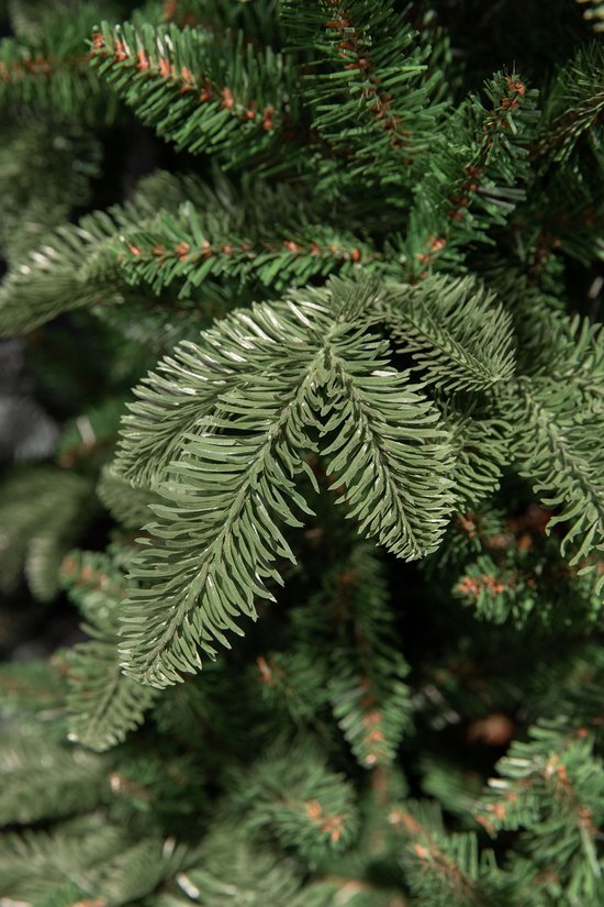 Arbre de triomphe Abies Nordmann Guirlande - L180 cm - Vert