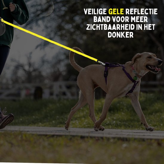 Laisse pour chien By Cee Cee 8 mètres - Laisse pour chien jusqu'à 50 kg - Noir - Laisse réfléchissante - Matériau robuste - Enroulement et déroulement en douceur