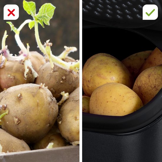 Ensemble Tupperware - PotatoSmart 8,3 L, OnionSmart 5,5 L et GarlicSmart 2,3 L - Récipients innovants pour pommes de terre, oignons et ail, assurant une circulation optimale de l'air - Conception empilable - Lavables au lave-vaisselle
