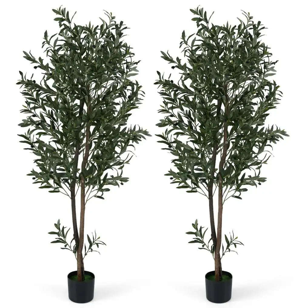 Coast – Lot de deux oliviers artificiels – Avec pot renforcé de ciment, branches flexibles et olives réalistes – Pour le salon et le bureau – Polyester vert et noir – Hauteur : 180 cm