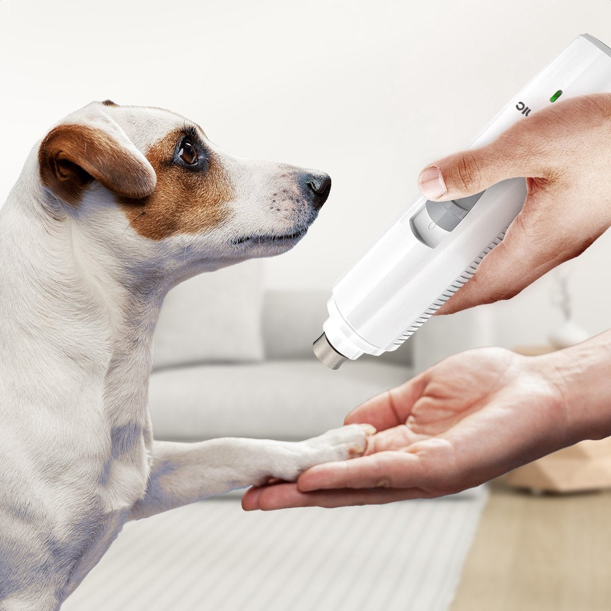 Auronic lime à ongles électrique - pour animaux - rechargeable - sans fil - tête de lime en diamant - chiens/chats - blanc