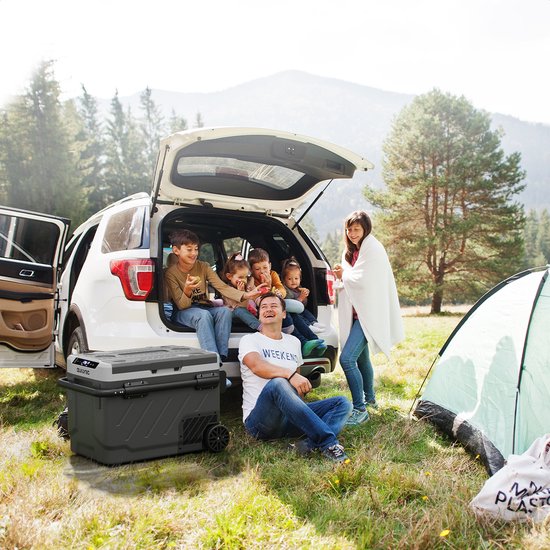 Auronic Glacière à Compresseur Électrique 12V et 230 volts - Voiture - Congeler et Refroidir - Glacière - 49L - Glacière - Gris