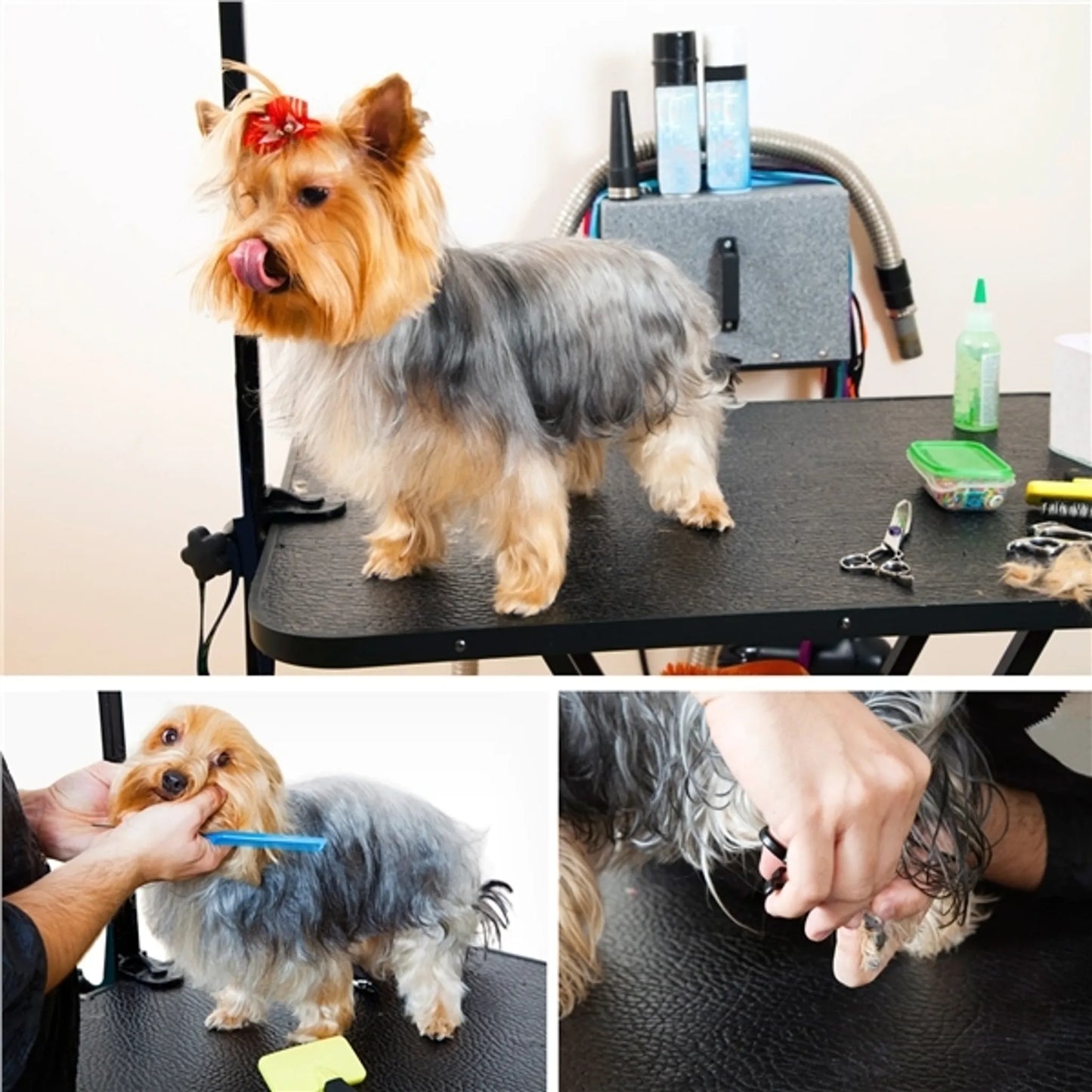 Yaheetech Table de toilettage pliante - équipée d'un support réglable en hauteur, d'une sangle de transport amovible et d'un plan de travail antidérapant - pour chiens et chats - métal noir et cuir PU - 80,5 x 46 x 76 cm