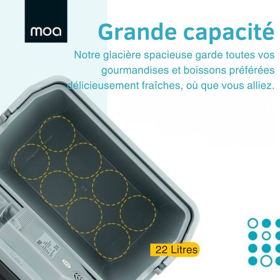 Glacière MOA Electrique, Avec fonction de chauffage, 12V et 230V, 22 litres, Gris