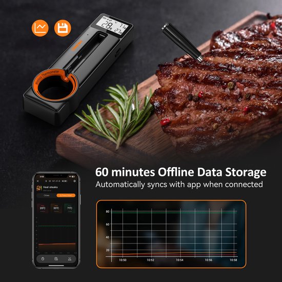 Thermomètre à viande sans fil Bluetooth INKBIRD, nouveau modèle 2025, sonde ultra-fine de 5 mm