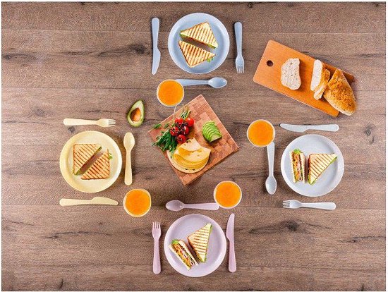 Service de pique-nique Alpina 21 pièces – Service de table pour 4 personnes comprenant des assiettes, des gobelets et des couverts – Service en plastique dans une boîte de rangement – Service de camping et service de table d'extérieur