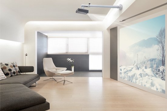 Support mural pour projecteur Neomounts BEAMER-W100SILVER - universel - réglage en profondeur 73-123 cm - argent