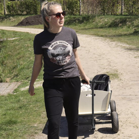 Sunny Billy Beach Wagon Charrette de plage Anthracite - Bois brut - Chariot avec pneus gonflables - 94x61x97cm
