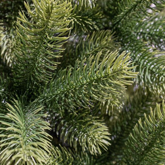 Black Box Trees Nagoya Artificial Christmas Tree - H210 x Ø115 cm - Vert