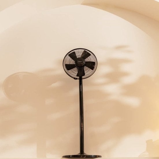 Cecotec 05875, Ventilateur domestique avec pales, Noir, Sol, Table, 60°, Boutons, 7 heures