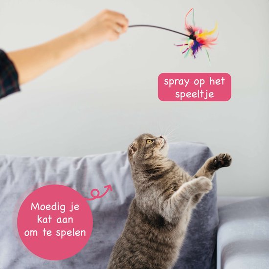 Spray d'herbe à chat - 100% naturel - Spray d'herbe à chat - Jouet d'herbe à chat - Valériane - Chat - Chats - Pour griffoir - Jouets - Maison - Panier