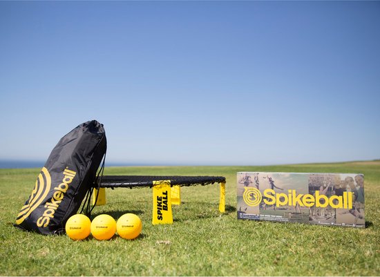 Spikeball Set standard