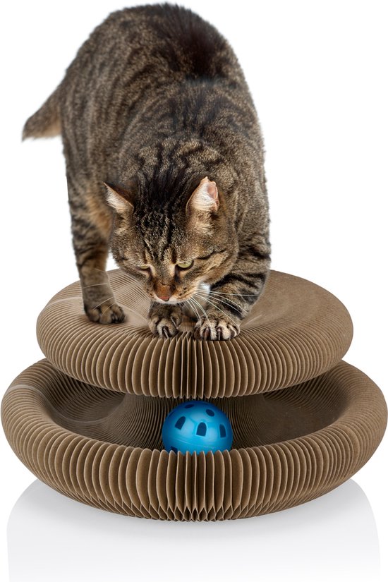 maxxpro Jouets pour chats - Carton à gratter - Herbe à chat - Balle de jeu