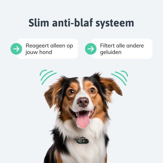 Dutchwide Anti-Bark Collar Pro - 100% étanche - Collier de dressage pour chiens - Avec dispositif anti-aboiement - Convient aux petits et grands chiens - Aide au dressage des chiens