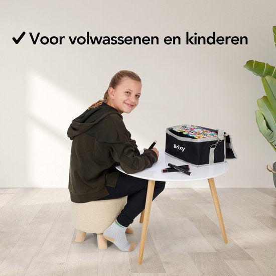 Brixy Twinmarkers 264 pièces - Marqueurs professionnels à alcool - pointe double face - marqueurs - sac de rangement avec support