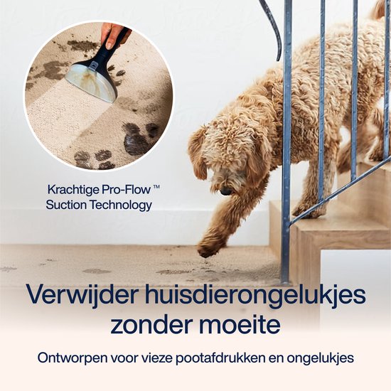 Nettoyeur de tapis PowerClean Pro 1800W - Nettoyeur à vapeur et nettoyeur de taches - 8 accessoires - Vapeur 100° - Nettoyeur de canapé - Nettoyeur de meubles - Nettoyeur à vapeur portatif - Nettoyeur de matelas - Samako